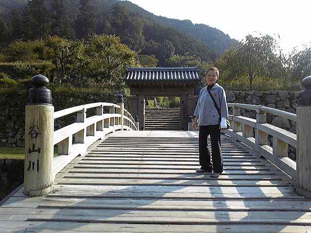 oΏՂւ̑ۋ